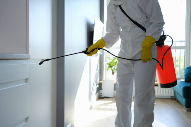 Reliable Delta, UT Mold Removal Solutions