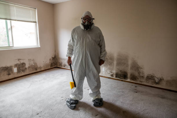 Best Certified Mold Removal  in Delta, UT